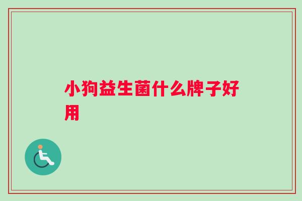 小狗益生菌什么牌子好用