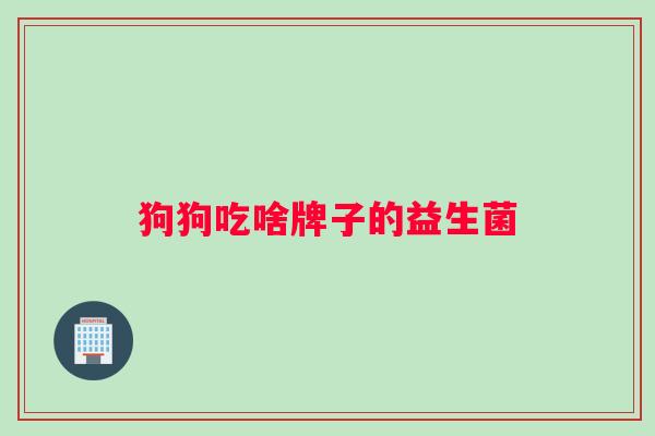 狗狗吃啥牌子的益生菌