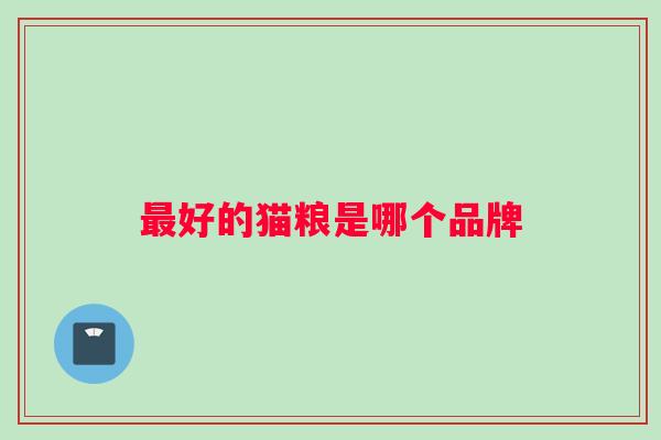 最好的猫粮是哪个品牌