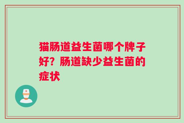 猫肠道益生菌哪个牌子好？肠道缺少益生菌的症状