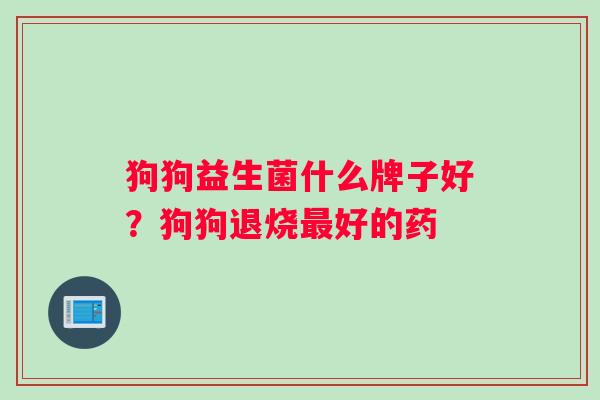 狗狗益生菌什么牌子好？狗狗退烧最好的药