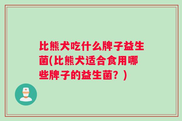 比熊犬吃什么牌子益生菌(比熊犬适合食用哪些牌子的益生菌？)