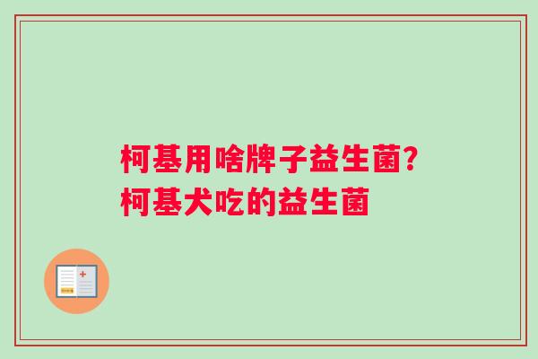 柯基用啥牌子益生菌？柯基犬吃的益生菌