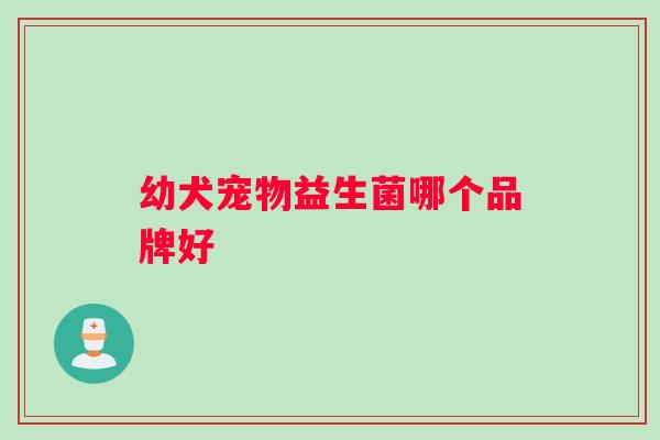 幼犬宠物益生菌哪个品牌好