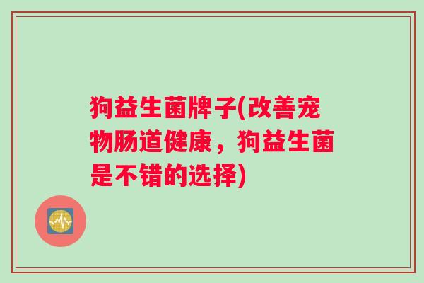 狗益生菌牌子(改善宠物肠道健康，狗益生菌是不错的选择)