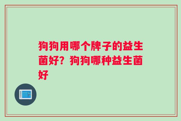 狗狗用哪个牌子的益生菌好？狗狗哪种益生菌好