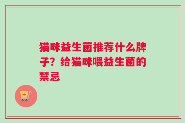 猫咪益生菌推荐什么牌子？给猫咪喂益生菌的禁忌