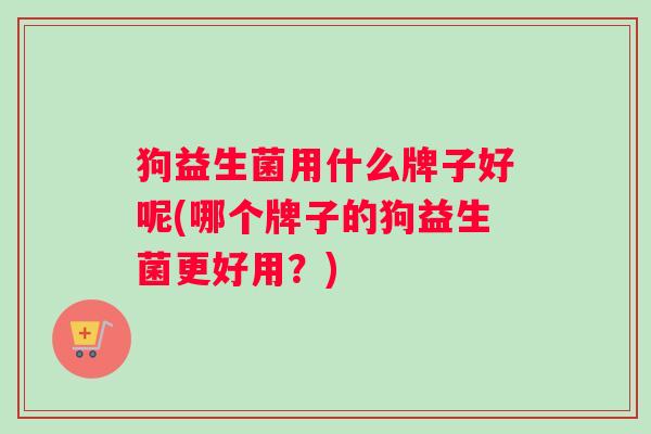 狗益生菌用什么牌子好呢(哪个牌子的狗益生菌更好用？)