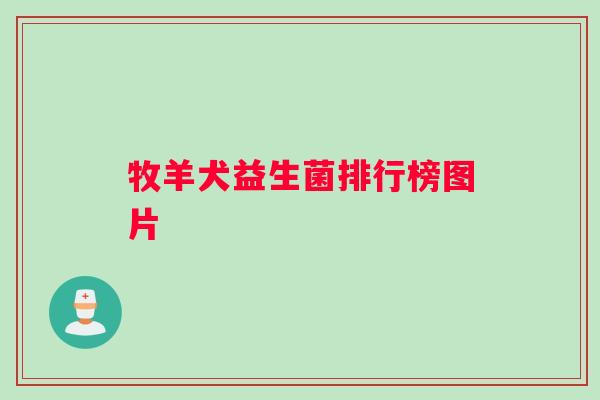 牧羊犬益生菌排行榜图片