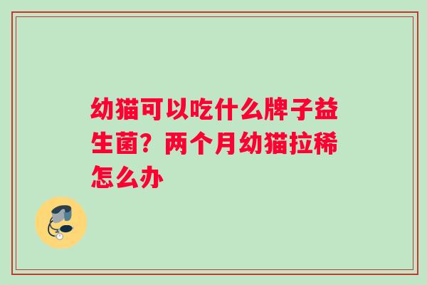 幼猫可以吃什么牌子益生菌？两个月幼猫拉稀怎么办