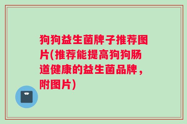 狗狗益生菌牌子推荐图片(推荐能提高狗狗肠道健康的益生菌品牌，附图片)