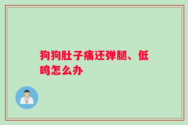狗狗肚子痛还弹腿、低鸣怎么办