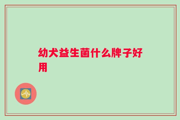 幼犬益生菌什么牌子好用