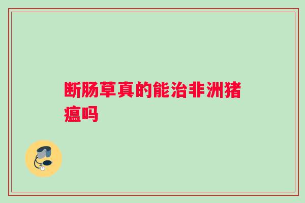 断肠草真的能治非洲猪瘟吗