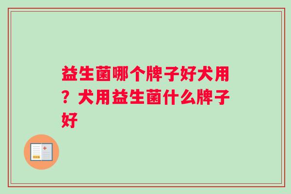 益生菌哪个牌子好犬用？犬用益生菌什么牌子好