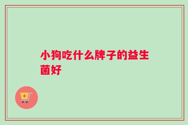 小狗吃什么牌子的益生菌好