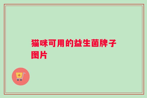 猫咪可用的益生菌牌子图片