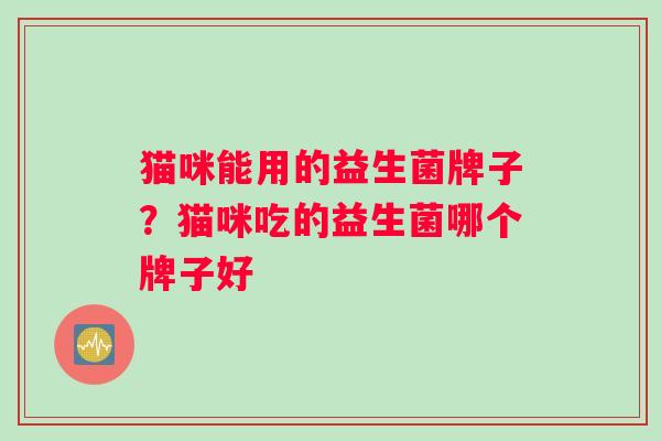 猫咪能用的益生菌牌子？猫咪吃的益生菌哪个牌子好