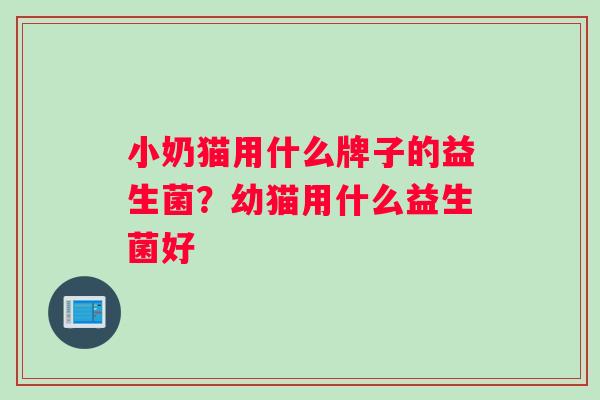 小奶猫用什么牌子的益生菌？幼猫用什么益生菌好