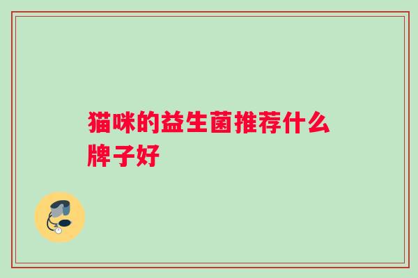 猫咪的益生菌推荐什么牌子好