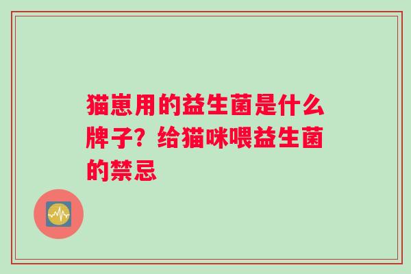 猫崽用的益生菌是什么牌子？给猫咪喂益生菌的禁忌