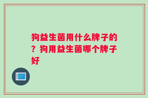 狗益生菌用什么牌子的？狗用益生菌哪个牌子好