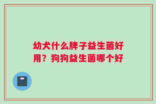幼犬什么牌子益生菌好用？狗狗益生菌哪个好