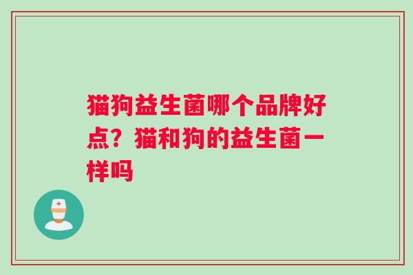 猫狗益生菌哪个品牌好点？猫和狗的益生菌一样吗
