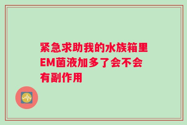 紧急求助我的水族箱里EM菌液加多了会不会有副作用