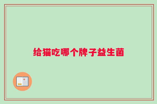 给猫吃哪个牌子益生菌