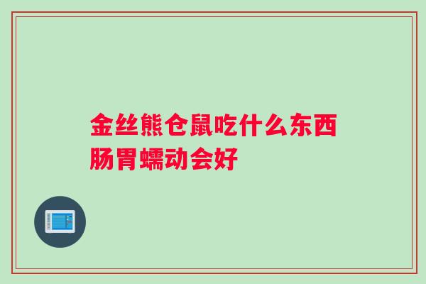 金丝熊仓鼠吃什么东西肠胃蠕动会好