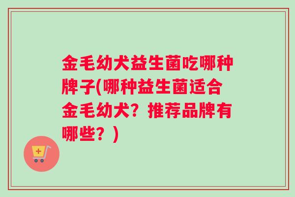 金毛幼犬益生菌吃哪种牌子(哪种益生菌适合金毛幼犬？推荐品牌有哪些？)