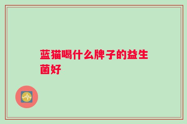 蓝猫喝什么牌子的益生菌好
