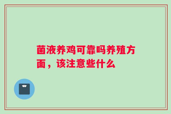 菌液养鸡可靠吗养殖方面，该注意些什么