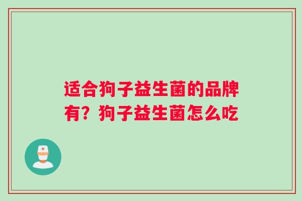 适合狗子益生菌的品牌有？狗子益生菌怎么吃