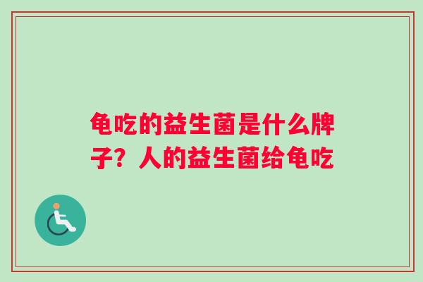 龟吃的益生菌是什么牌子？人的益生菌给龟吃