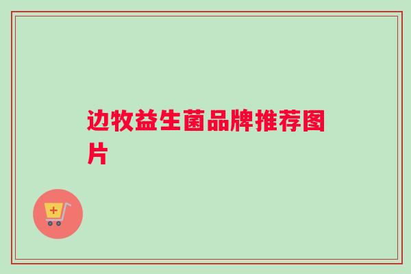边牧益生菌品牌推荐图片