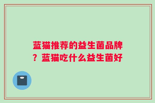 蓝猫推荐的益生菌品牌？蓝猫吃什么益生菌好