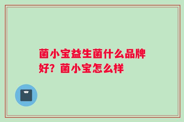 菌小宝益生菌什么品牌好？菌小宝怎么样