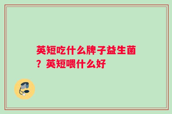 英短吃什么牌子益生菌？英短喂什么好