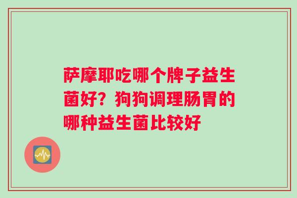 萨摩耶吃哪个牌子益生菌好？狗狗调理肠胃的哪种益生菌比较好