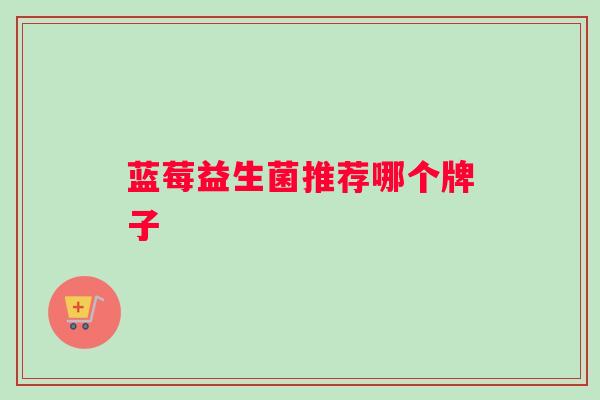 蓝莓益生菌推荐哪个牌子