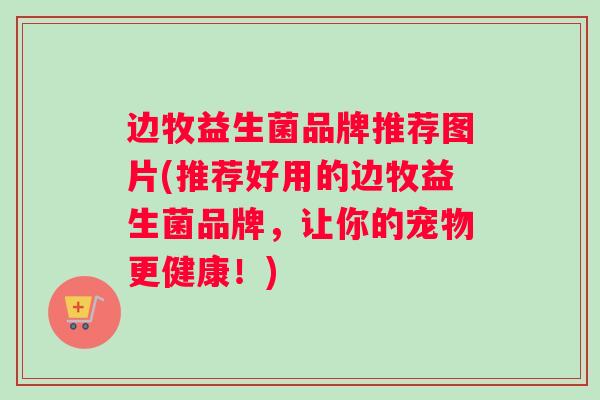 边牧益生菌品牌推荐图片(推荐好用的边牧益生菌品牌，让你的宠物更健康！)