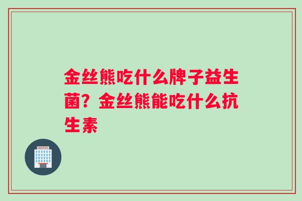 金丝熊吃什么牌子益生菌？金丝熊能吃什么抗生素
