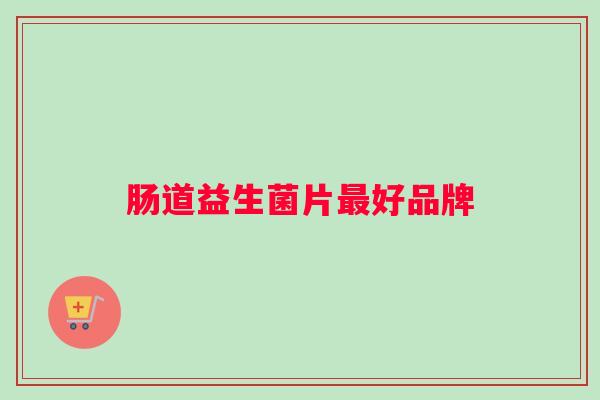 肠道益生菌片最好品牌