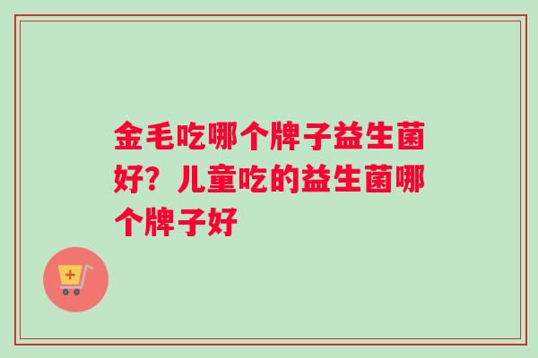 金毛吃哪个牌子益生菌好？儿童吃的益生菌哪个牌子好