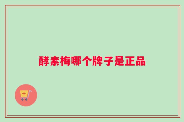 酵素梅哪个牌子是正品