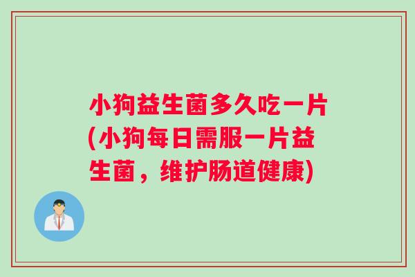 小狗益生菌多久吃一片(小狗每日需服一片益生菌，维护肠道健康)