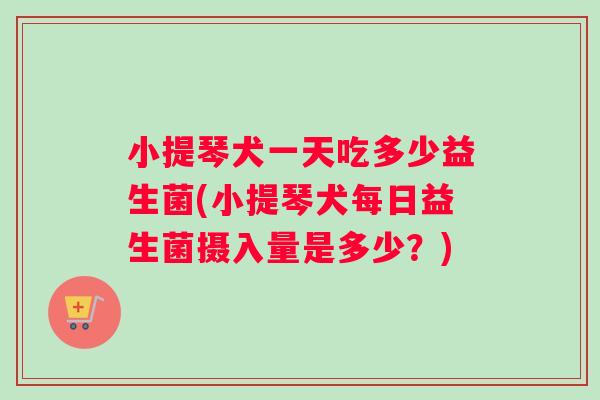 小提琴犬一天吃多少益生菌(小提琴犬每日益生菌摄入量是多少？)