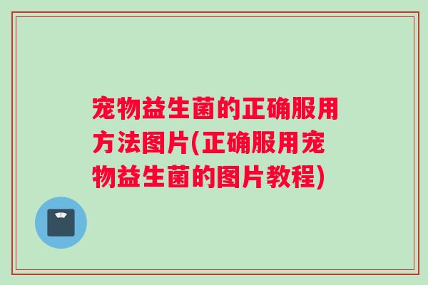 宠物益生菌的正确服用方法图片(正确服用宠物益生菌的图片教程)